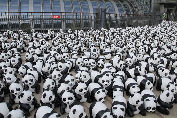 熊貓快閃，1600貓熊世界之旅，熊出沒，1600隻紙貓熊